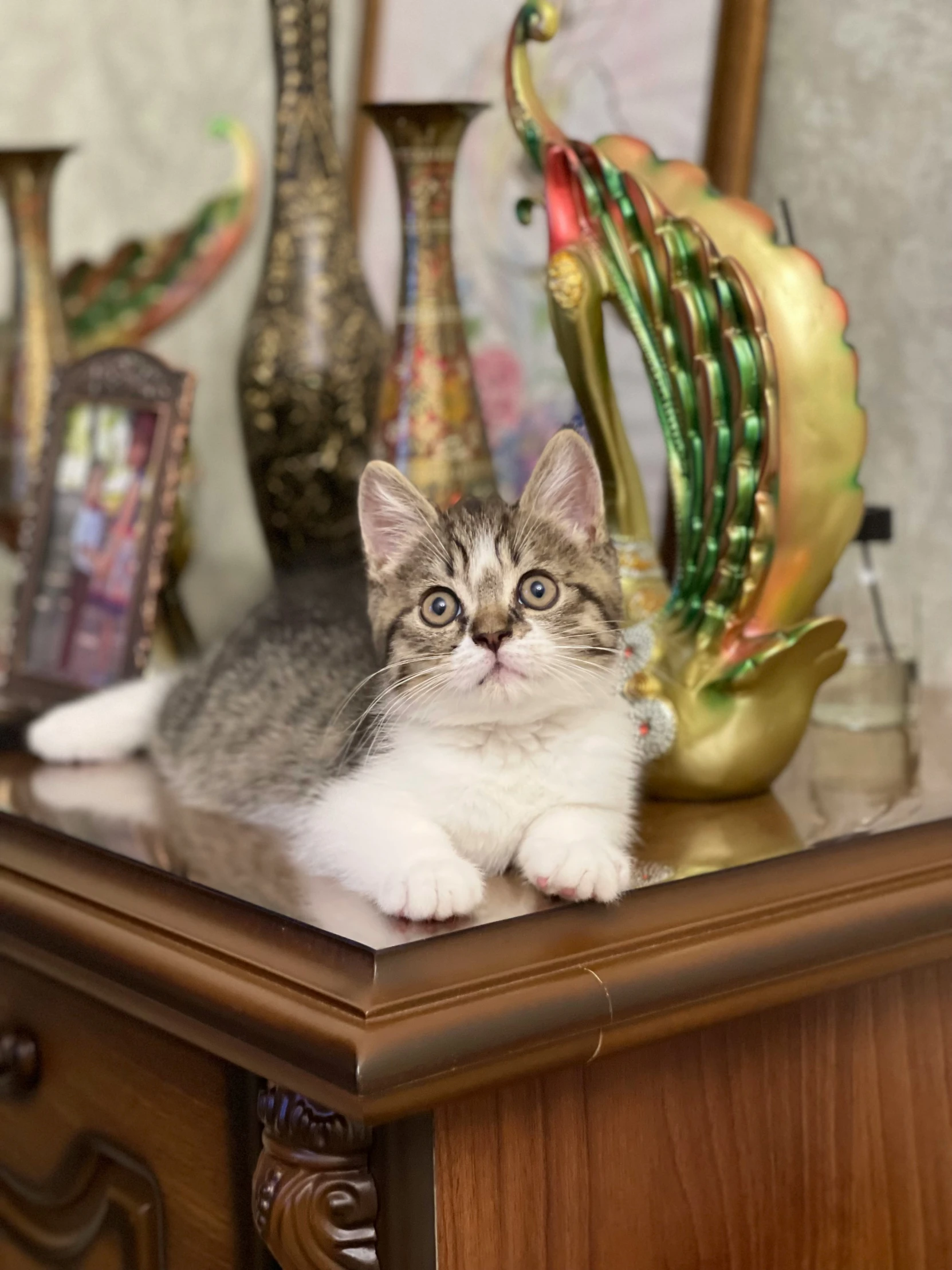 a kitten sitting on top of a table next to an ornate vase