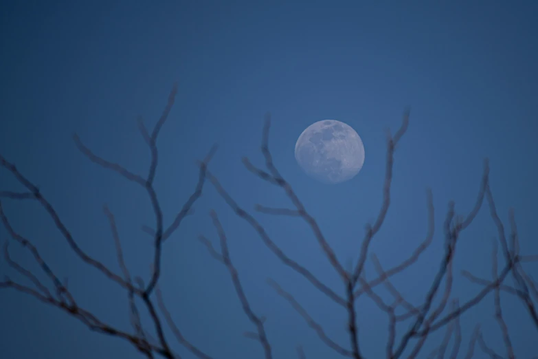 the moon is shining in a clear blue sky