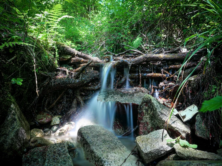 the waterfall runs through a dense forest