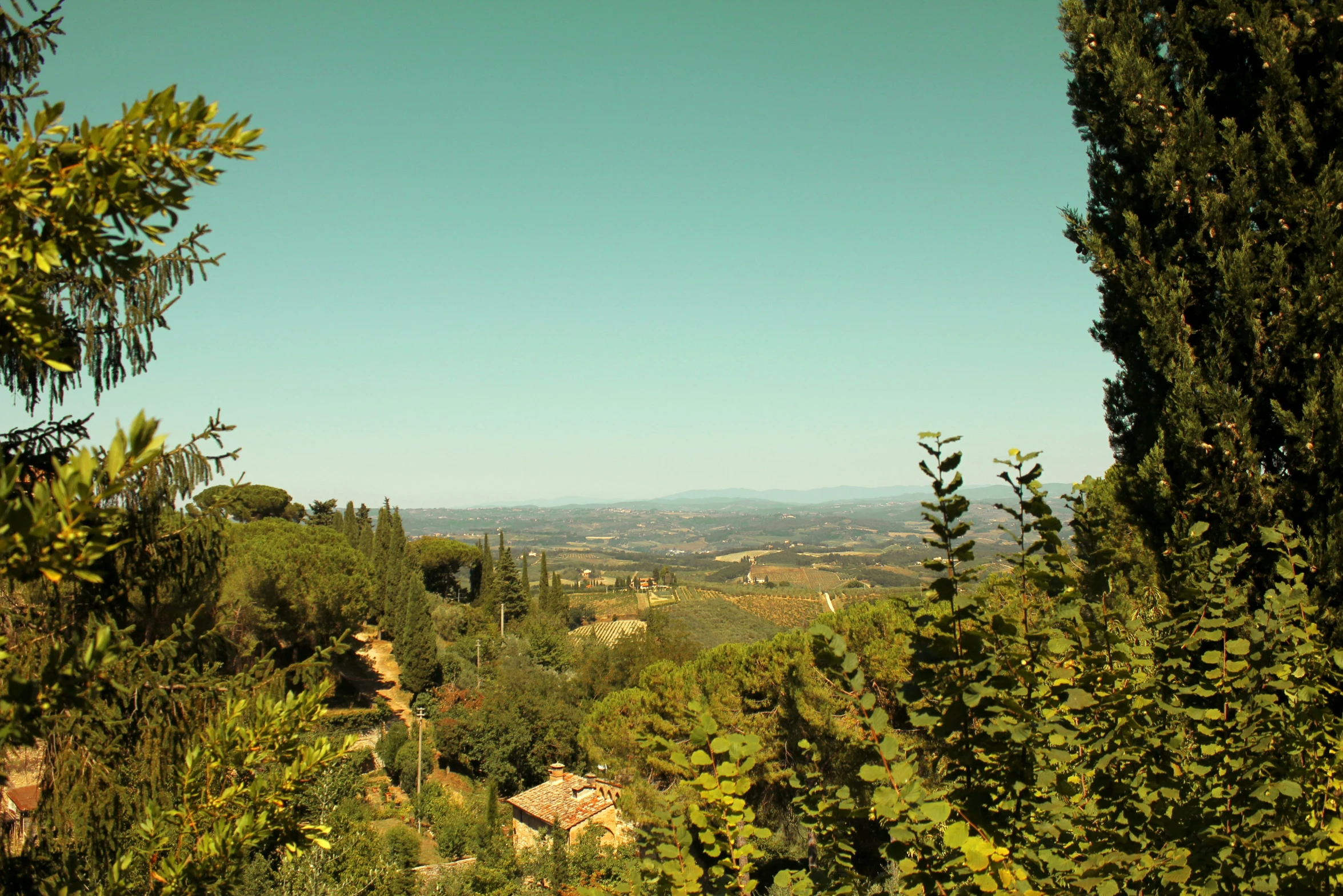 green trees and rocks in the foreground and hills beyond