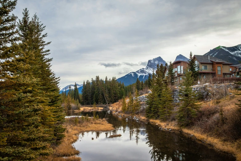 an alpine creek winds through a forest on a cloudy day