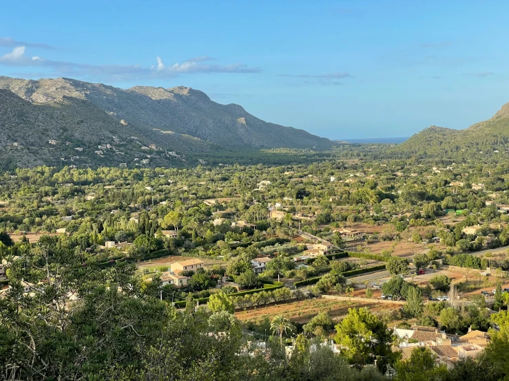 a hillside area and many trees in front of a large mountain range