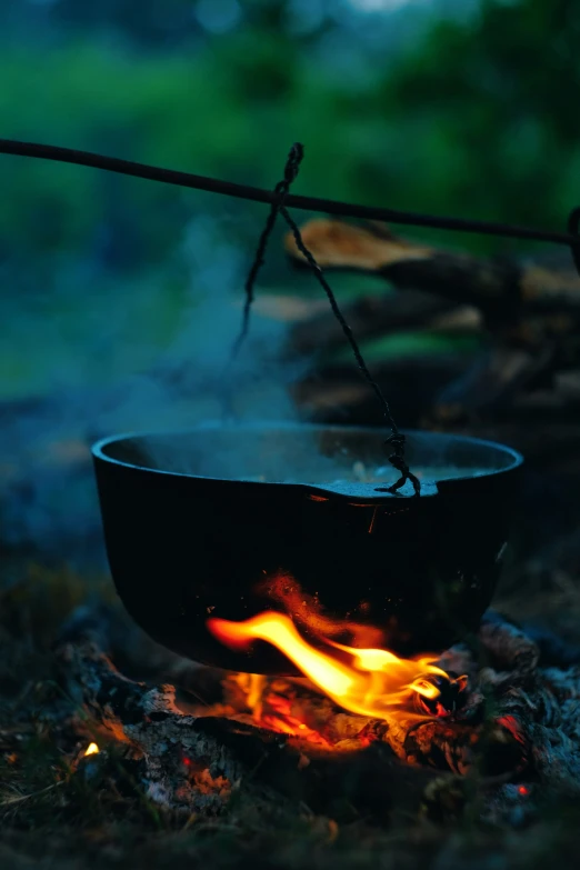 a fire bowl sitting on top of a forest ground