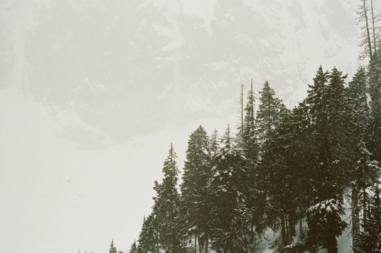 a snowy day with several people skiing down hill