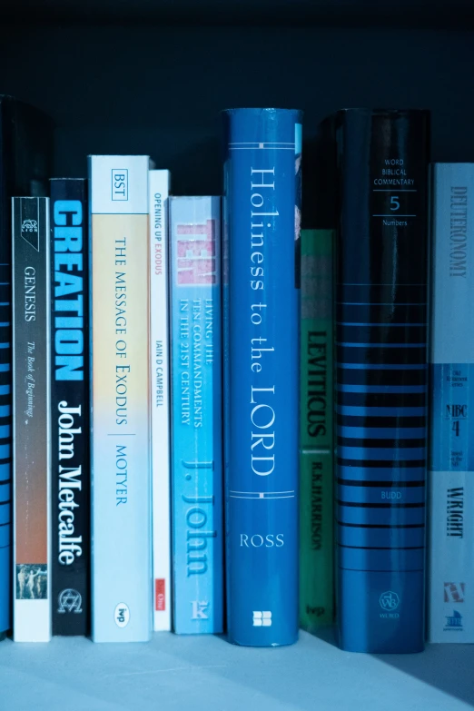 an assortment of books line the shelves