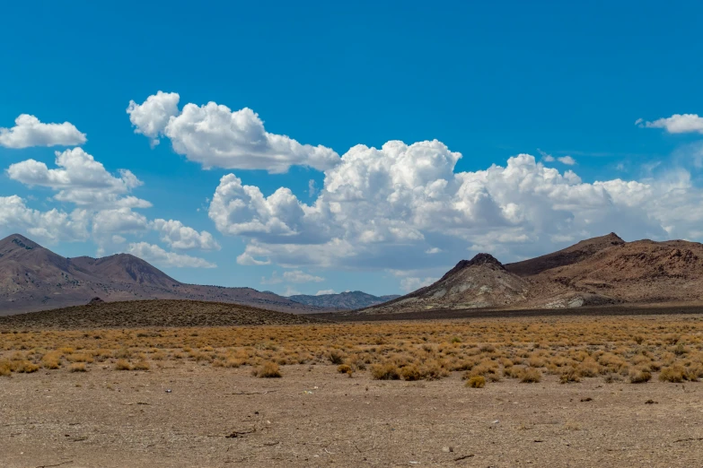 two desert mountain with sp brush on the foreground