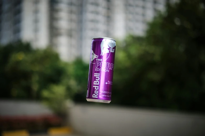 purple beer can flying from a pole in the middle of some trees