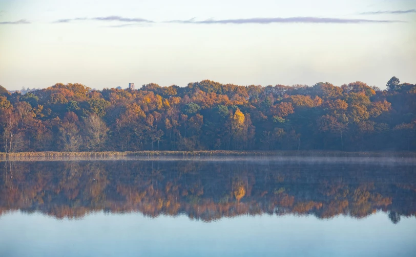 a still body of water that has leaves on the trees