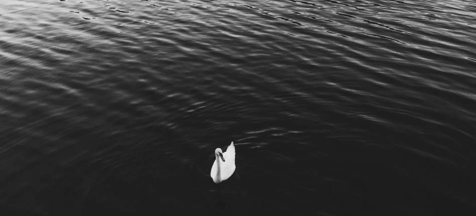 lone white boat on water with large ripples