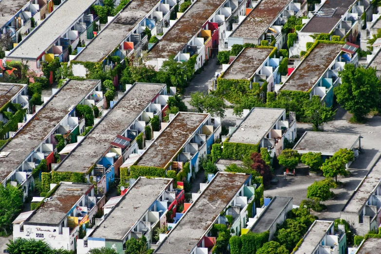 multiple rows of houses covered in dirt and trees