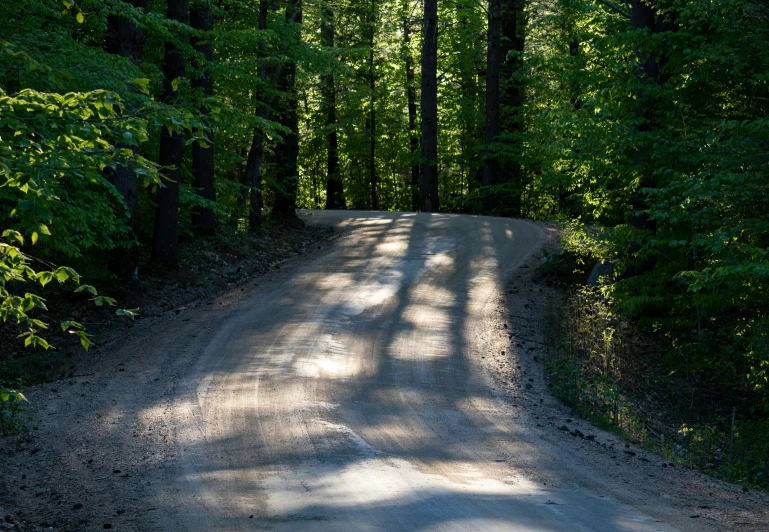 a dirt road through some green trees and bushes
