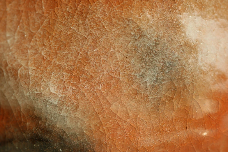 a close up of the fur of an animal