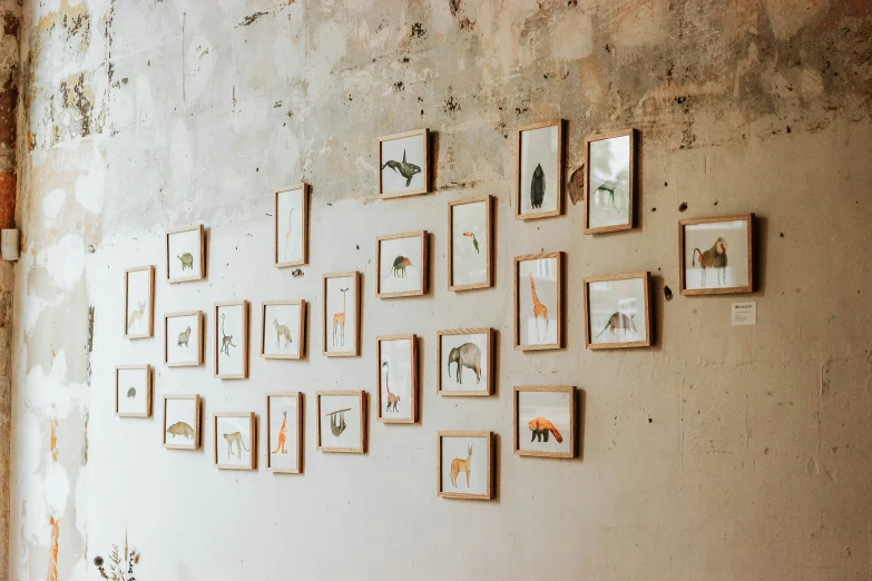 there is an old wall with frames on it