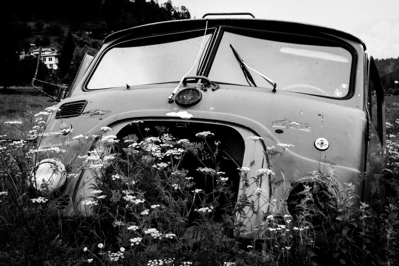 a black and white po of an old car in the wild flowers