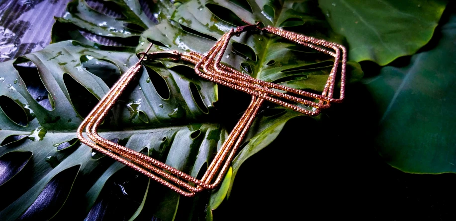 two gold square earrings in front of some leaves