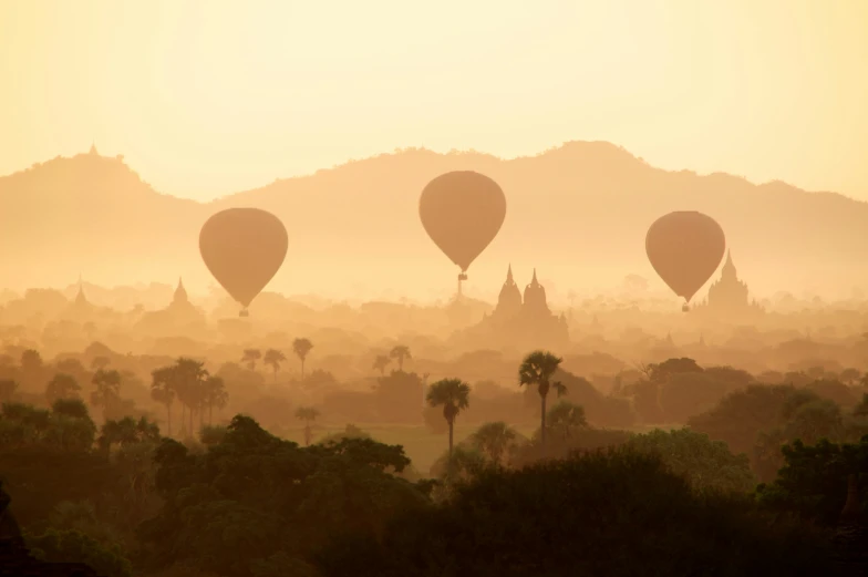 the balloonists are in their skies above the trees