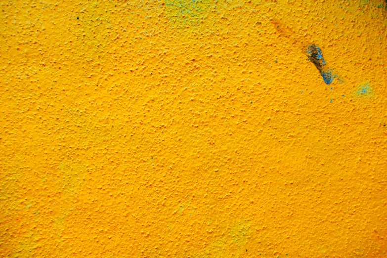 a black orange and blue bird perched on yellow paint