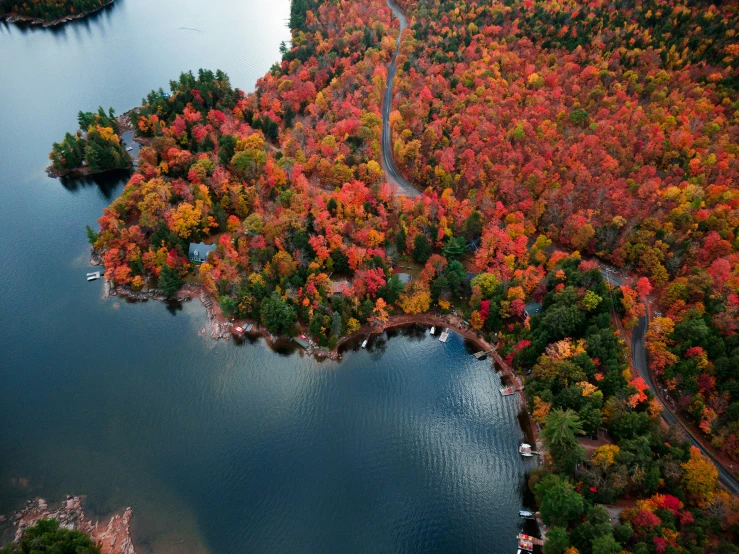 aerial view of fall colored trees and a lake