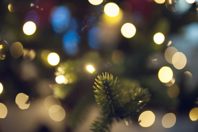 christmas tree with lights shining through the top