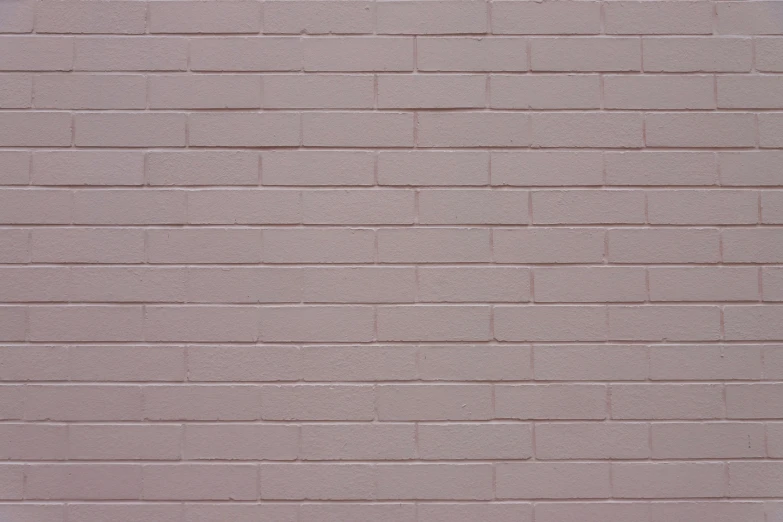 a cat sitting on the ground in front of a brick wall