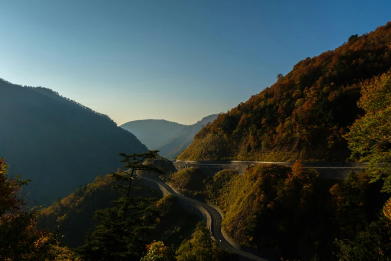 a narrow road winding through a valley with lots of trees