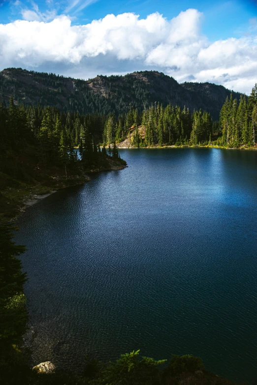 a large body of water surrounded by trees