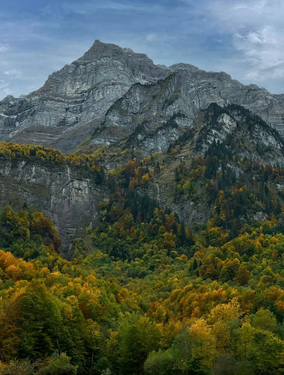 the tops of mountains are almost covered by fall colored foliage
