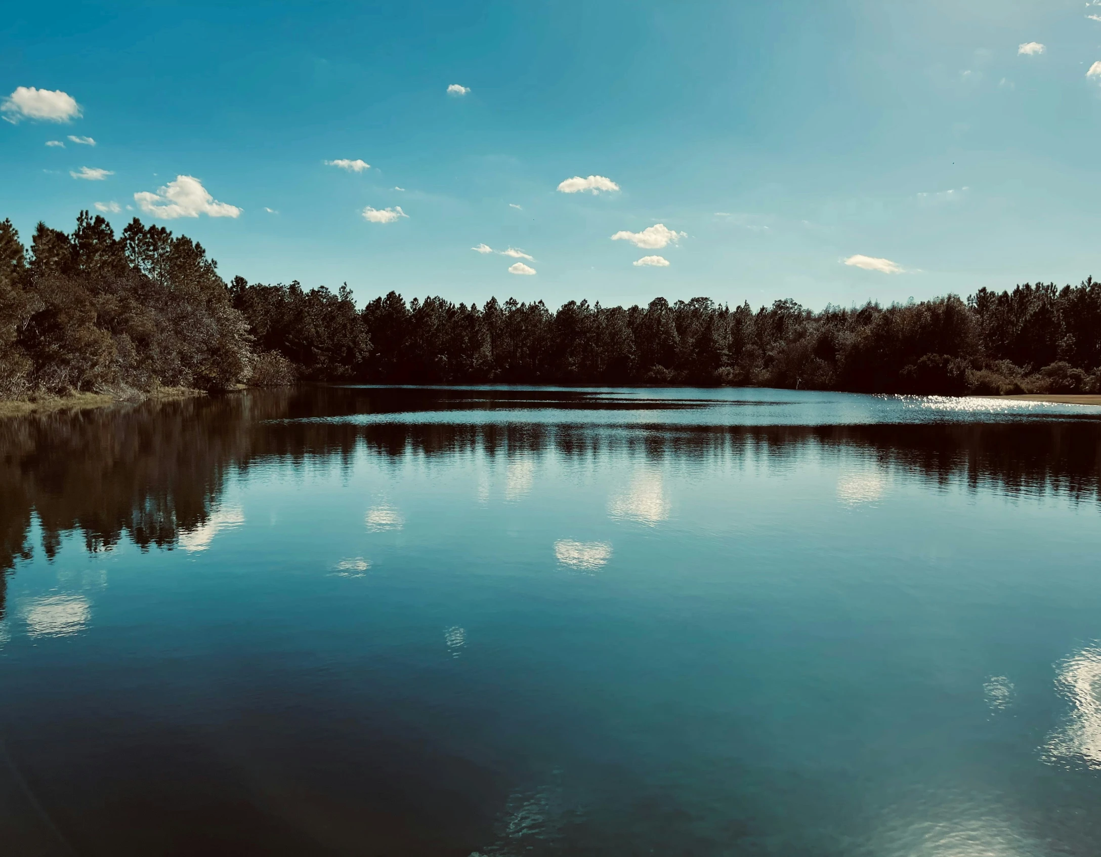 a large body of water surrounded by trees