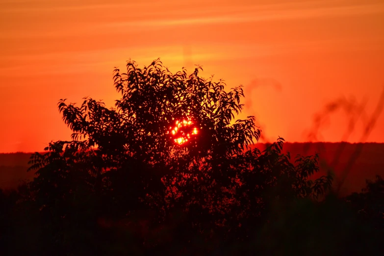 a sunset with the sun going down behind some trees