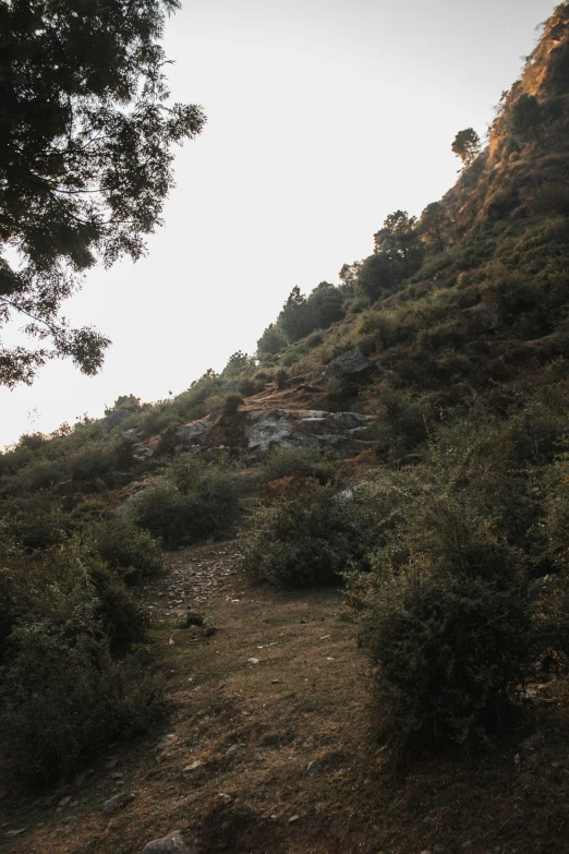 a very tall mountain is shown with trees and grass