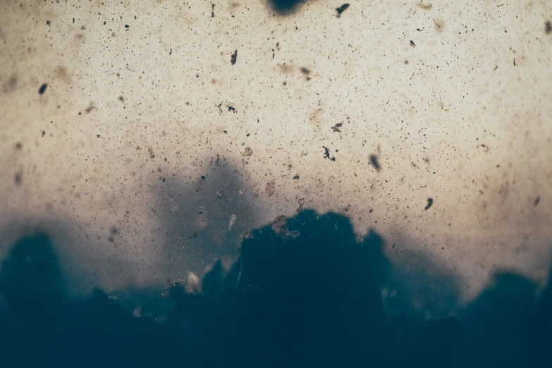 a window pane that has a brown and black view of trees outside