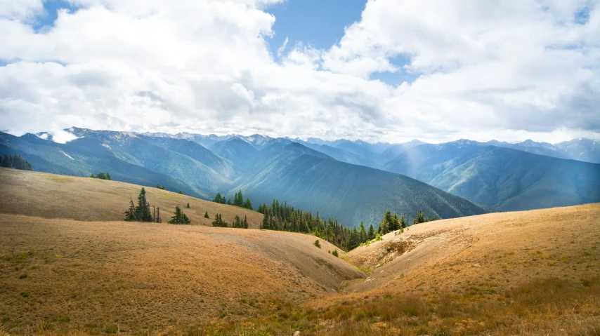 a lone bench in a field with mountains in the background