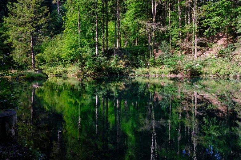 a lake surrounded by trees and a mountain