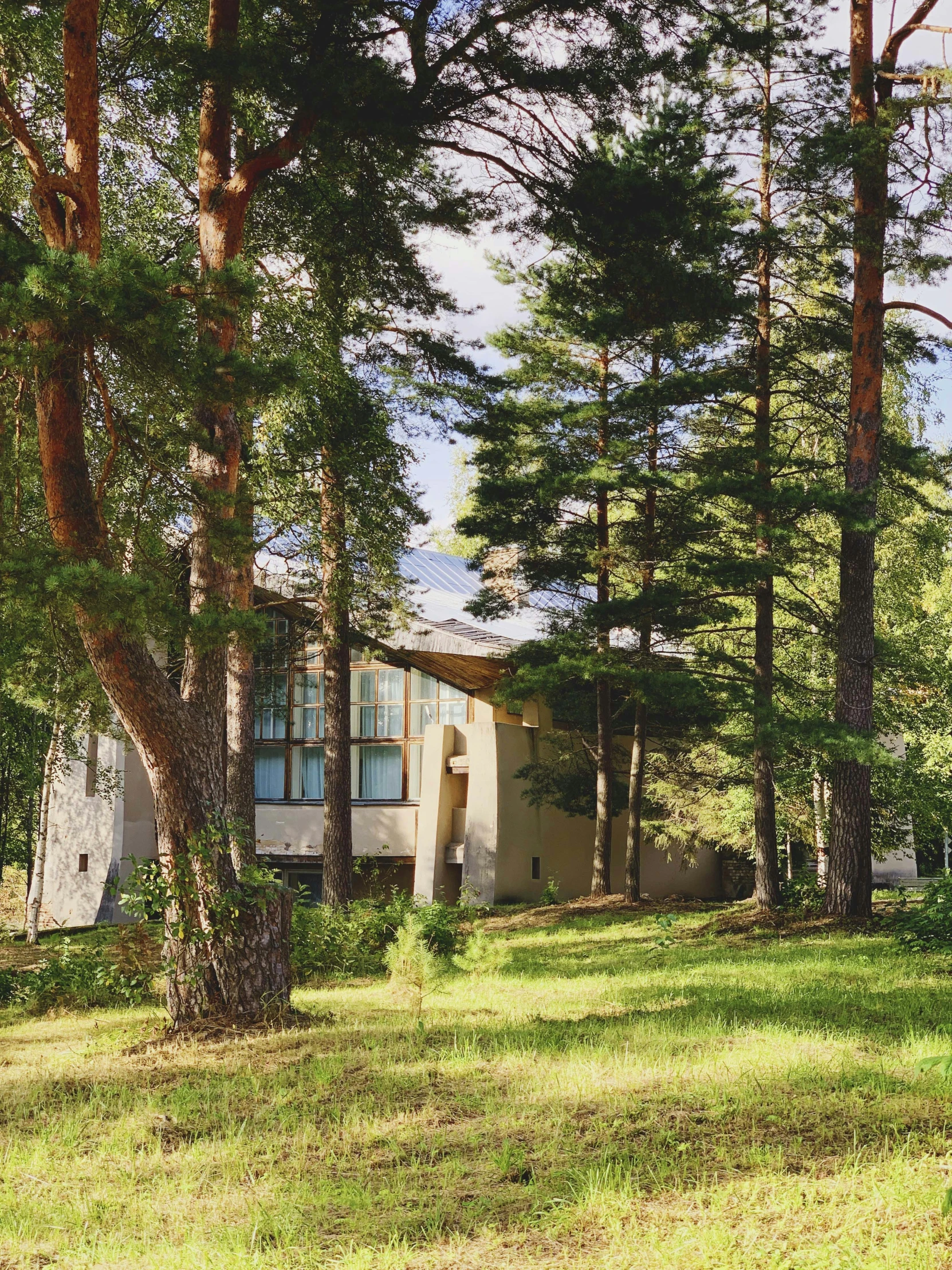 a house in the woods with a tall tree in front