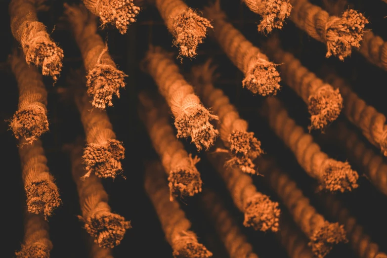 a brown textured po of a bunch of logs