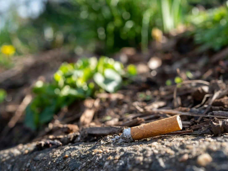 a cigarette sitting on the ground in the dirt