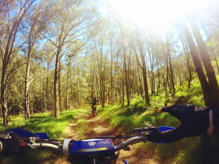 someone on a dirt path in the woods