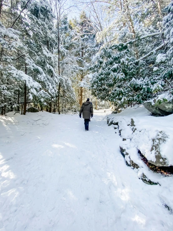 person walking along trail with snow on ground in wooded area