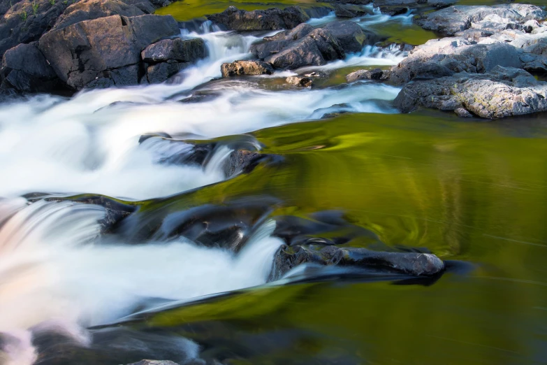 a river running down a hill side in a forest