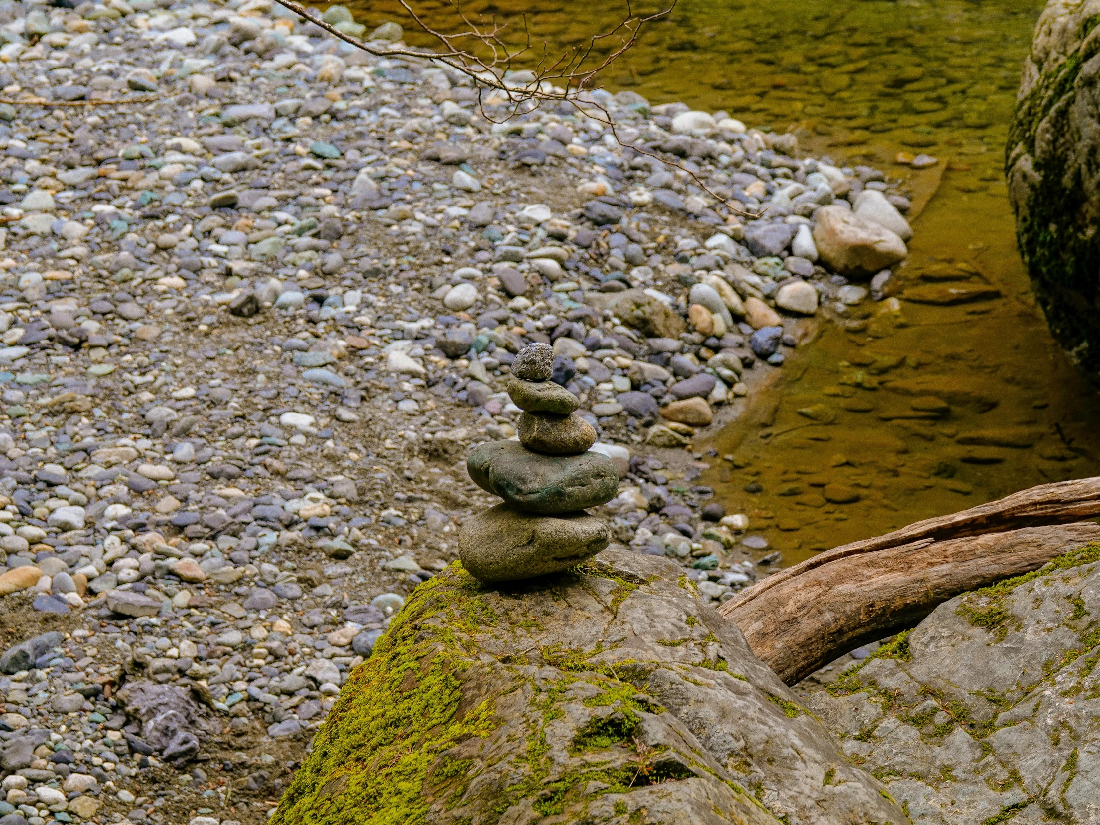 the rocks have many different sized stones on them