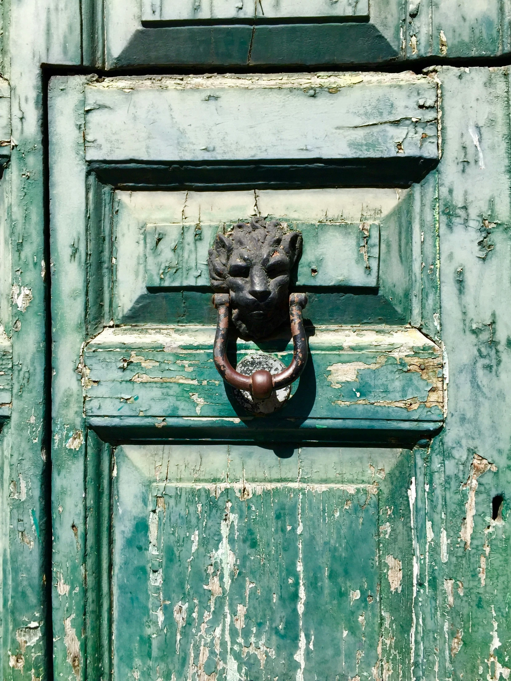 an ornate iron door knockner is mounted to a rustic, green door