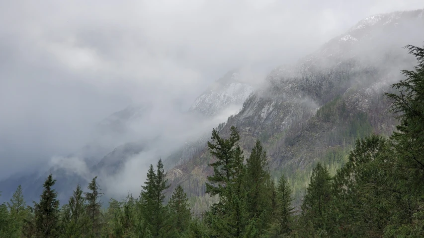 a mountain with trees surrounding it in a forest