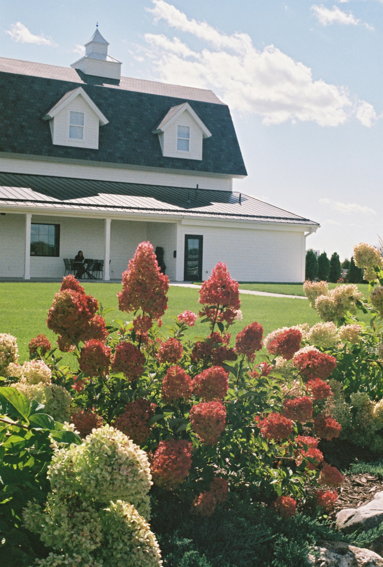 a house in the back yard with pink flowers growing all around