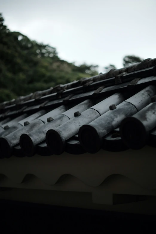 black and white pograph of old roof tops