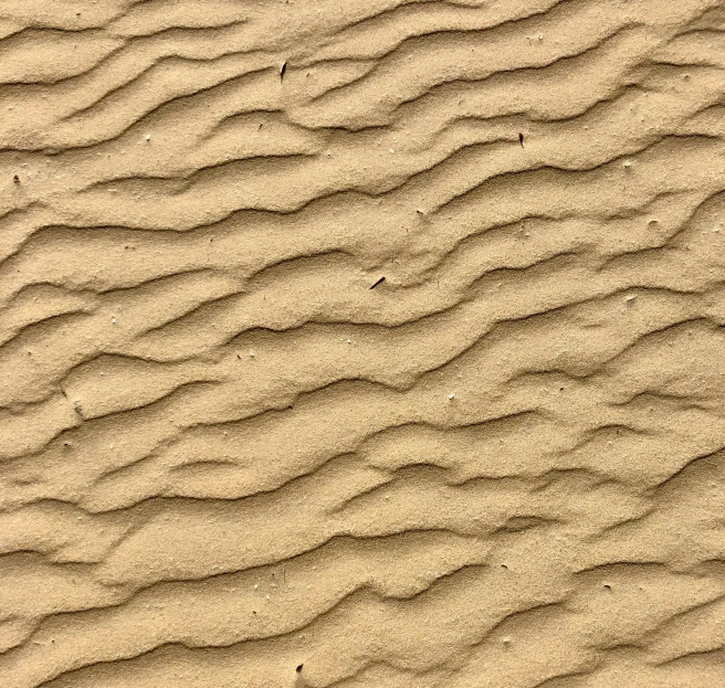 a brown sand is sitting very close to the ground