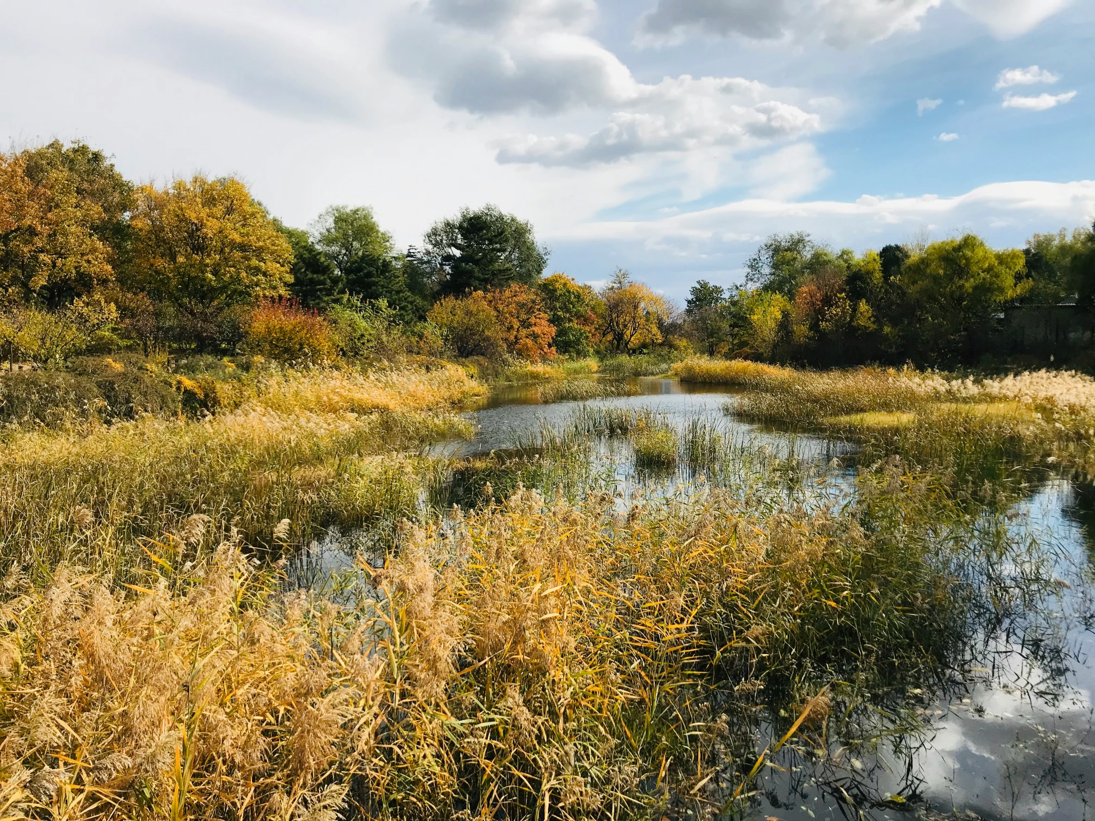 water and grass are seen in the foreground as a blue sky holds clouds