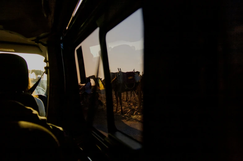 the inside view of a vehicle looking out the side window at a group of cows