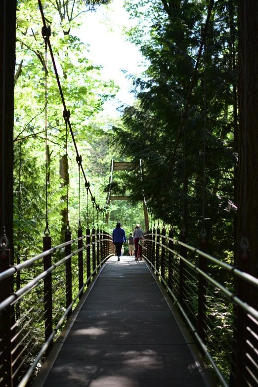 a woman and child walking on a bridge with trees in the background