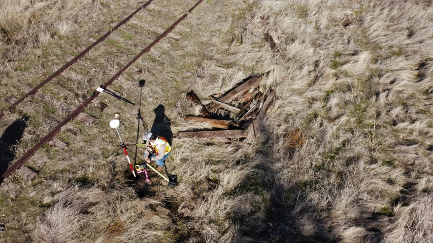 two workers on their work horses next to a burnt out tree