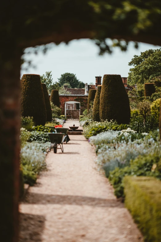 a pathway through an overgrown garden to a building